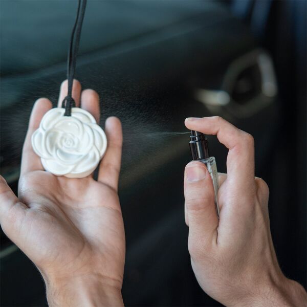 Car Stone Diffuser Set