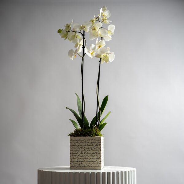 Orchid Vase with printed cover of your choice