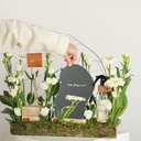 Flower Tray & Mubkhar Gifts