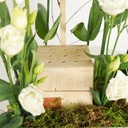 Flower Tray & Mubkhar Gifts