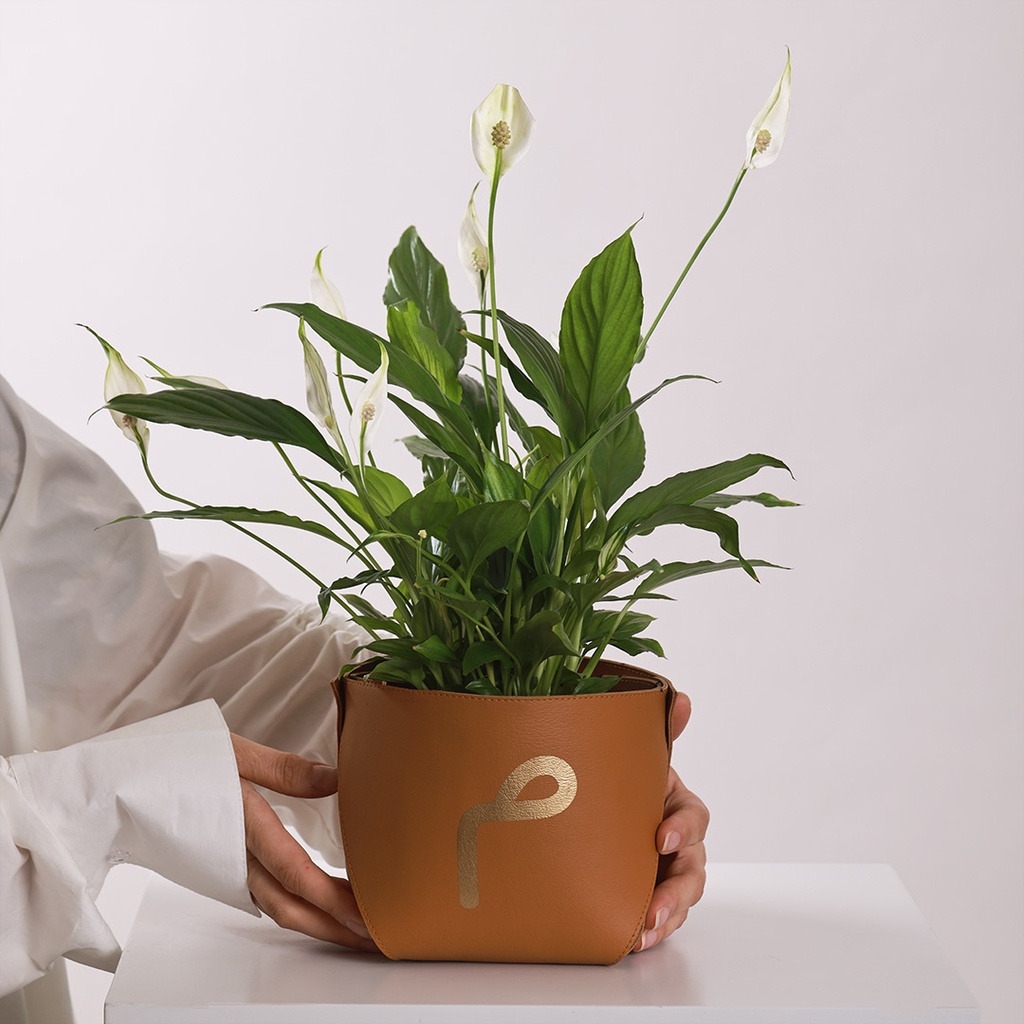 Leather Spathiphyllum Vase – Customized