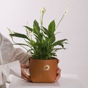 Leather Spathiphyllum Vase – Customized