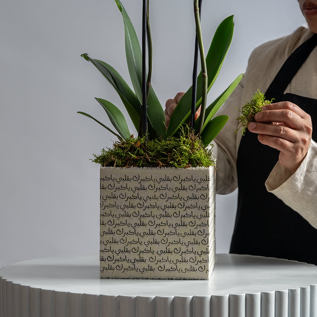 Orchid Vase