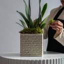 Orchid Vase