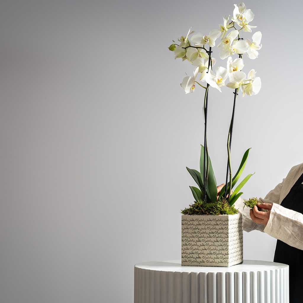 Orchid Vase