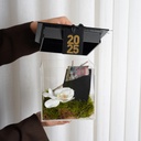 Graduation Box